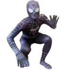 Sewa Kostum Super Hero Spidermen